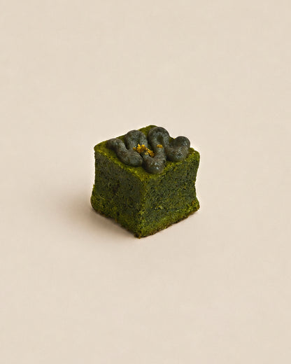 Petit Cake Maison / Matcha